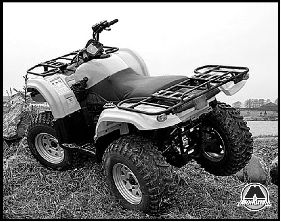Квадроциклы Baltmotors ATV 500 MAX