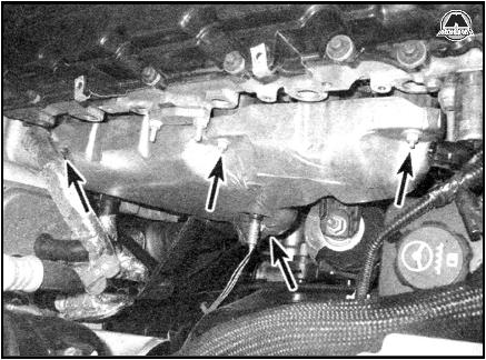 Гайки теплоизоляционного щитка выпускного коллектора Chevrolet Trailblazer