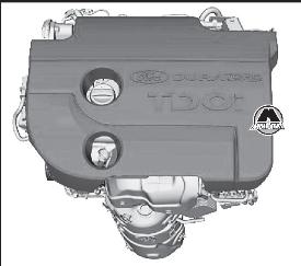 Ремень привода газораспределительного механизма Ford B-Max