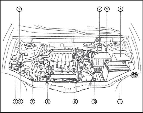 Расположение элементов моторного отсека Hyundai Santa Fe