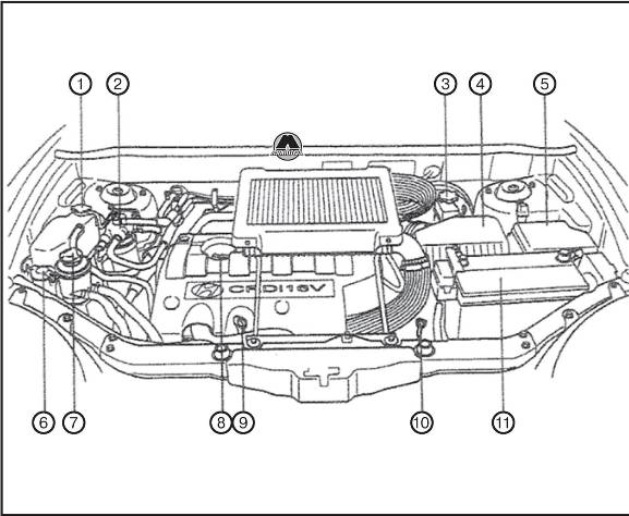 Расположение элементов моторного отсека Hyundai Santa Fe