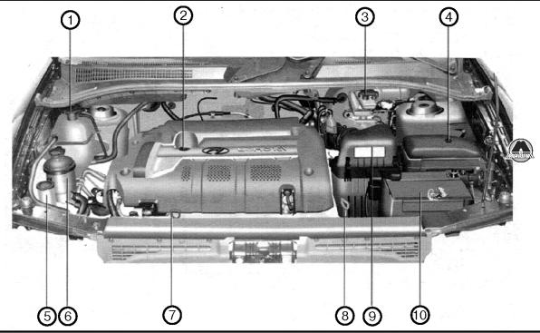 Обзор моторного отсека Hyundai Trajet