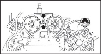 Цепь привода газораспределительного механизма MG 350