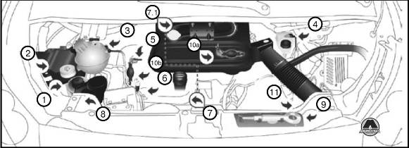 Расположение систем под капотом Peugeot Expert Citroen Jumpy Fiat Scudo