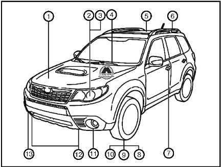 Внешний вид автомобиля Subaru Forester