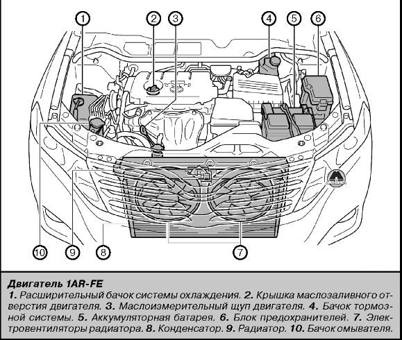 Обзор моторного отсека Toyota Venza
